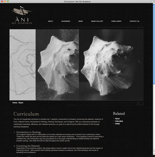 Ani Art Academies curriculum page