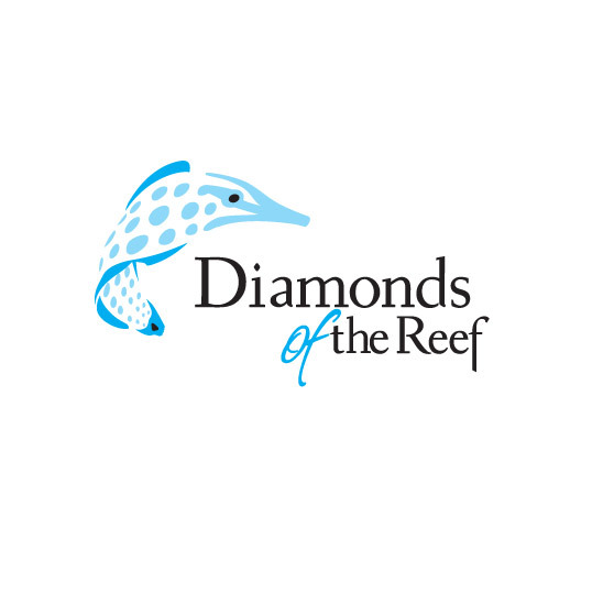 Identity features the beautiful filefish with an iconic rendition of its' intric