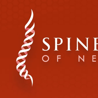 The Spine Center of New Jersey Identity